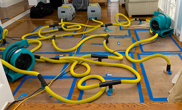 Professional Storm Water Damage Restoration technician working in Kenyon, MN